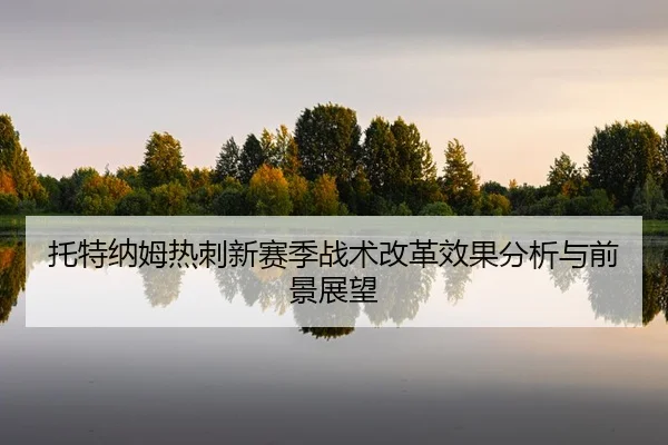tuo-te-na-mu-re-ci-xin-sai-ji-zhan-shu-gai-ge-xiao-guo-fen-xi-yu-qian-jing-zhan-wang-2-137.jpg
